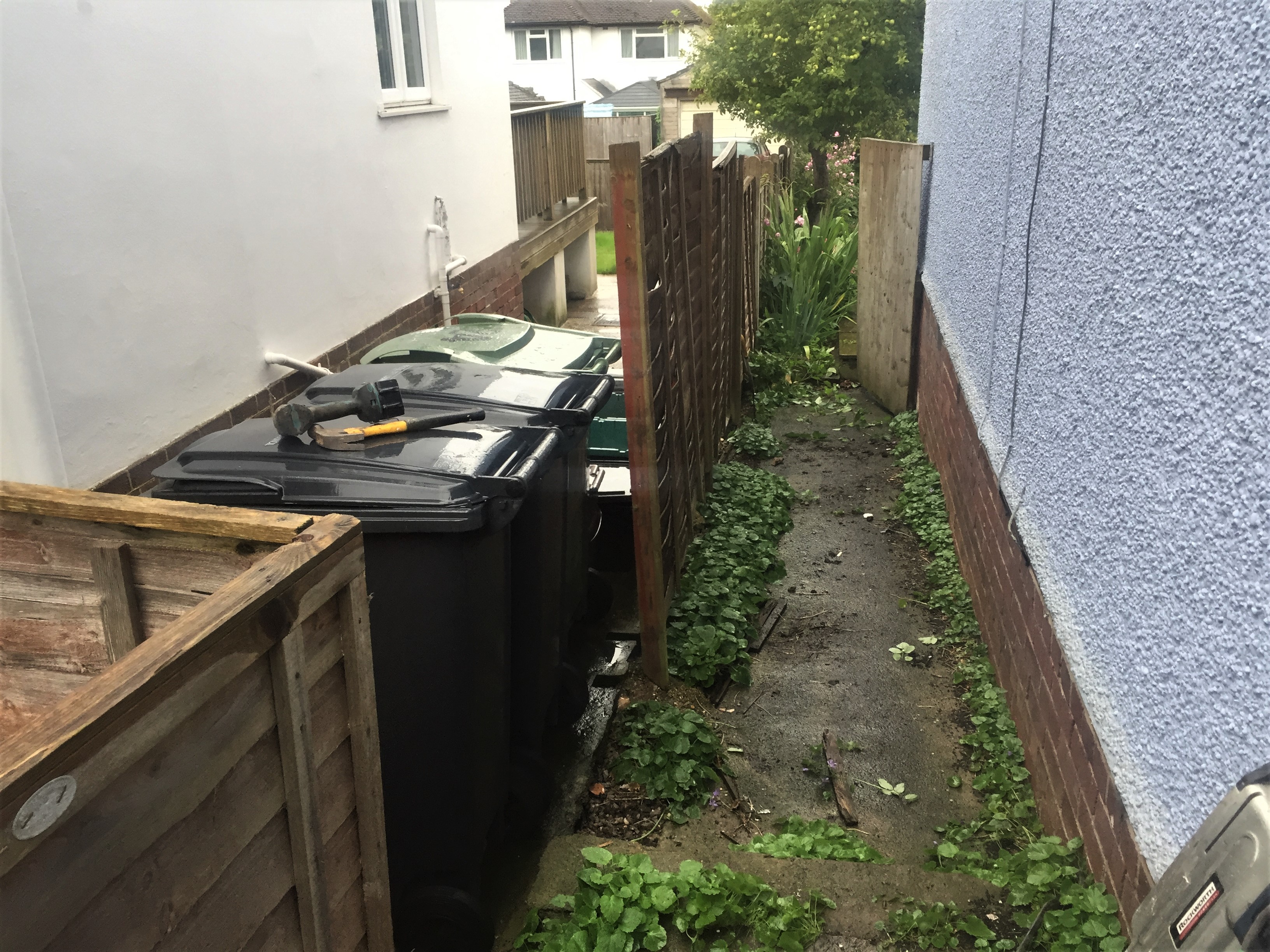 Before fence looking a bit sad