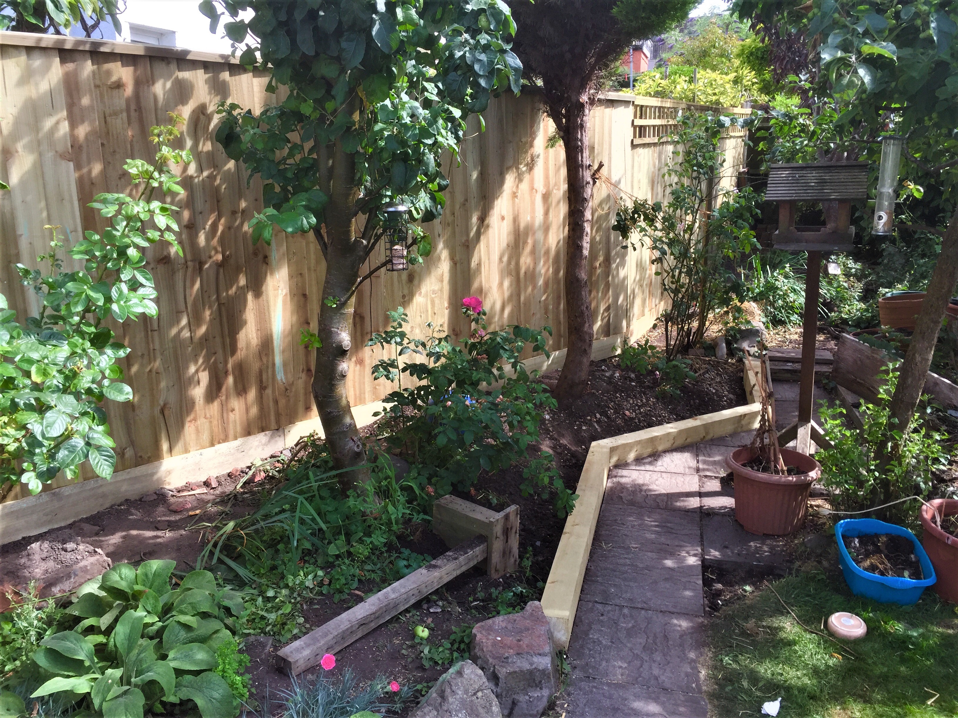 Fence trellis and small sleeper border