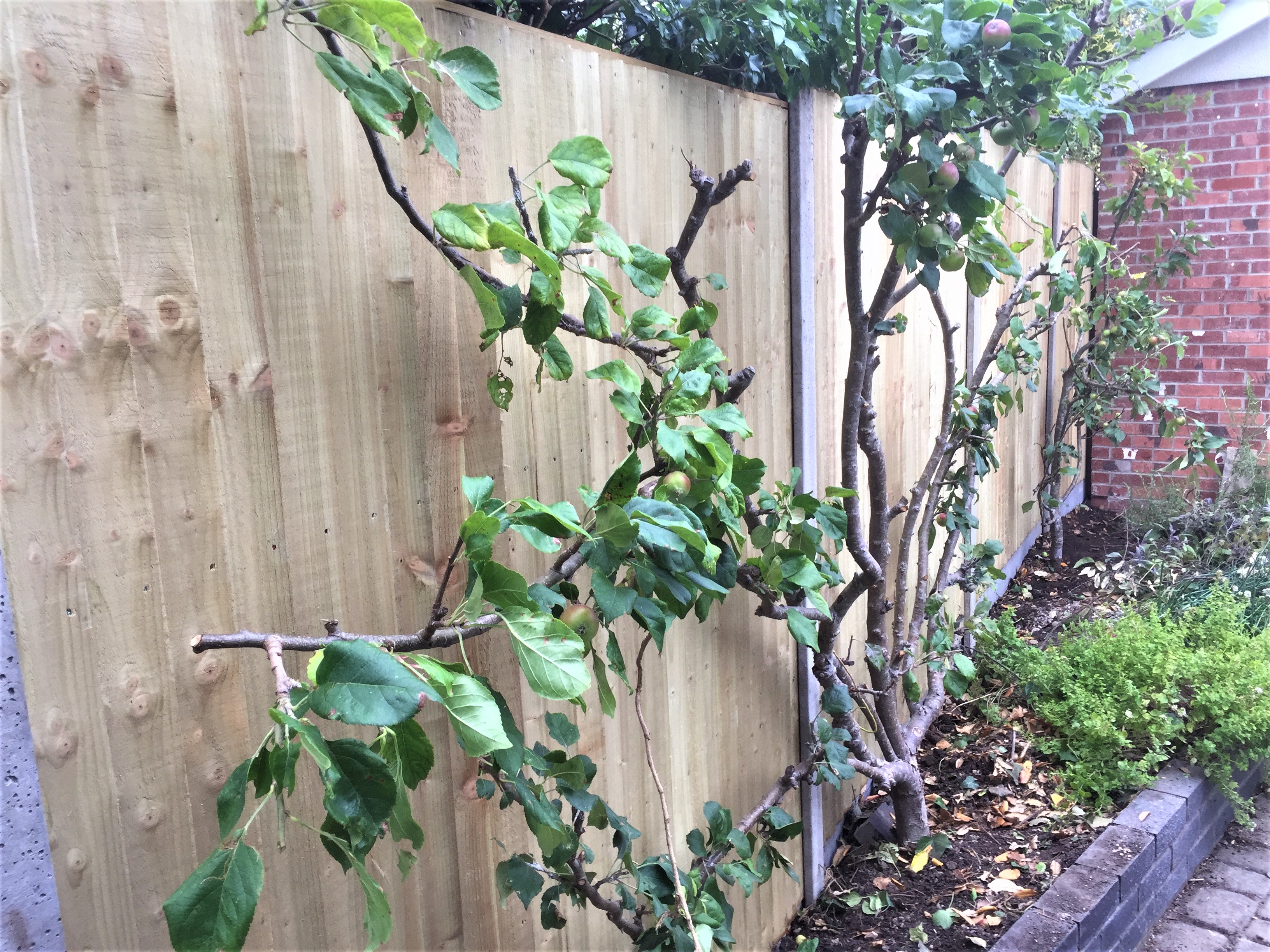 Run of closeboard panels